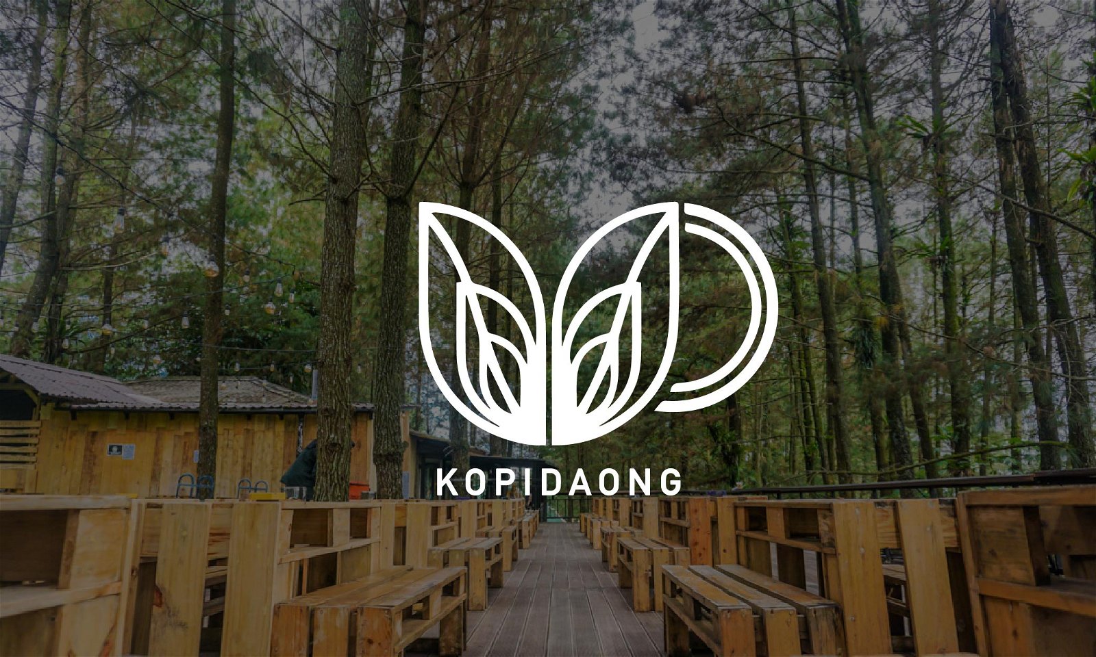 Kopi Daong Bogor, Sejuknya Hutan Pinus di Balik Segelas Kopi