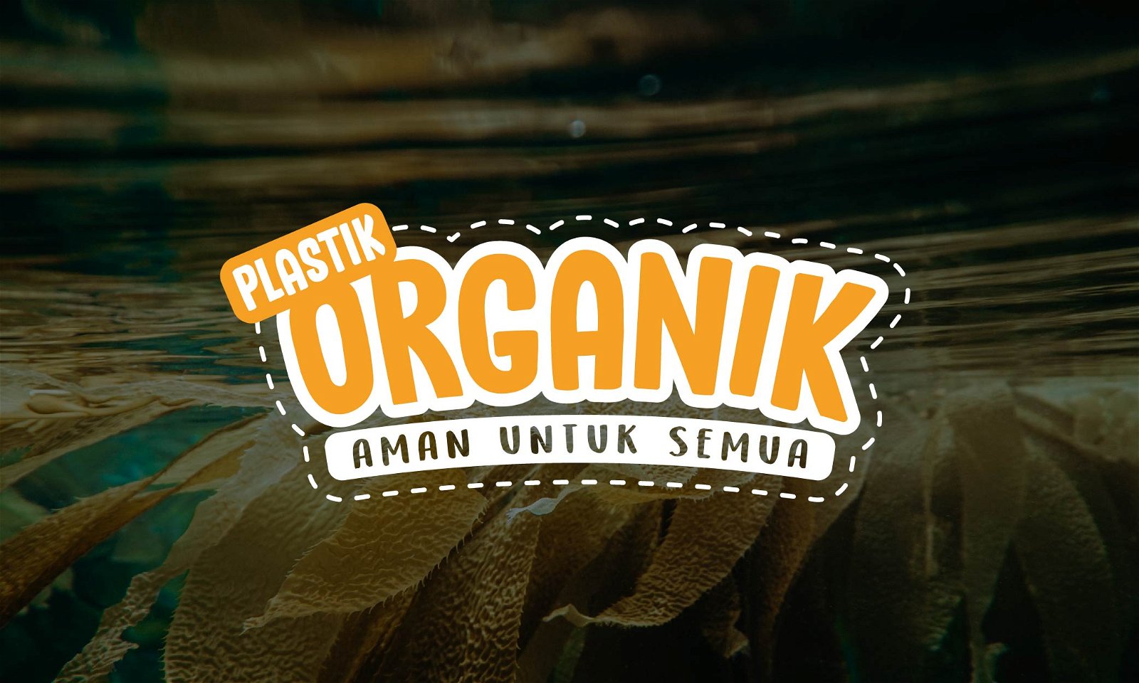 Kantong Plastik Organik, Bungkus Aman untuk Semua