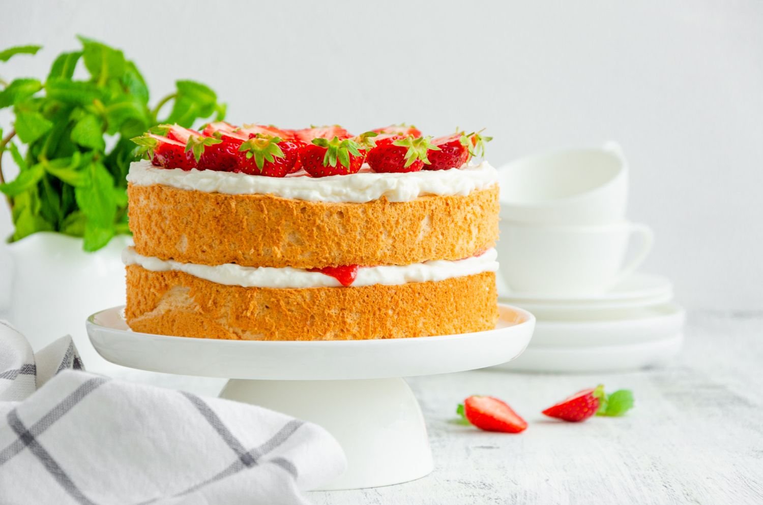 Sponge Cake, Si Lembut Favoritnya Ratu Inggris